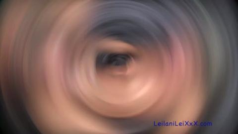 23316